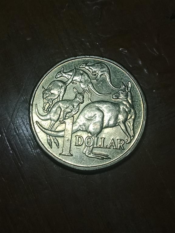 The-Big-Noodle:-Australian-1-Dollar-Coins